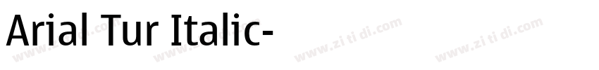 Arial Tur Italic字体转换